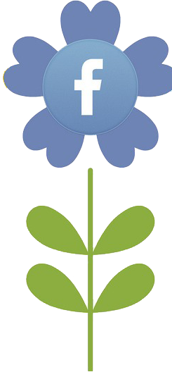 Follow CutesyKink on Facebook